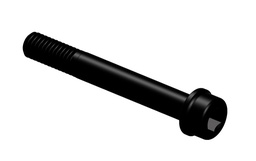 [M10-1-06] M10 Rail Clamp Screw, 4mm Hex
